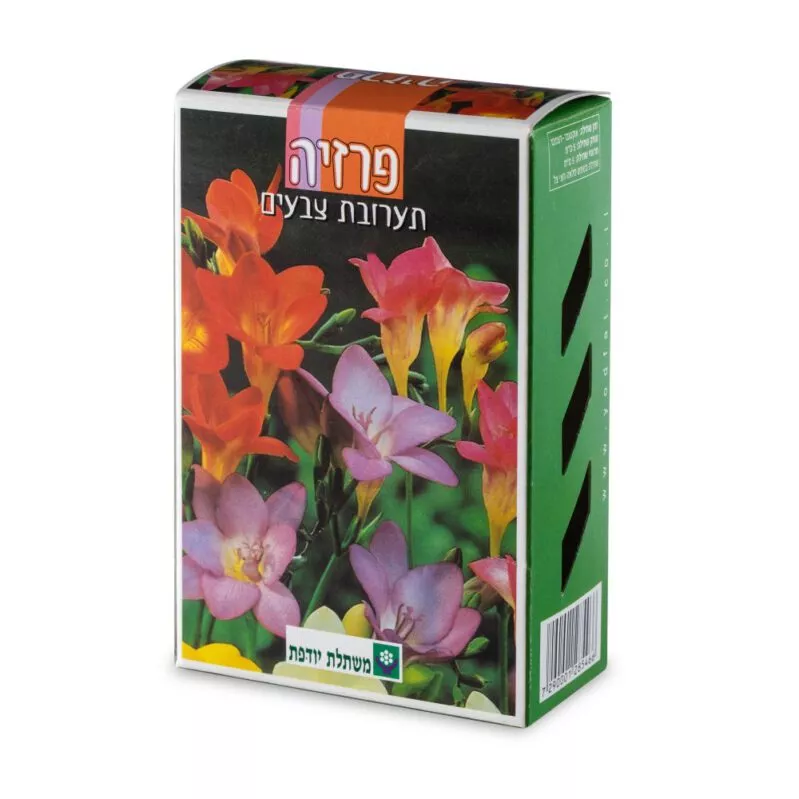 פרזיה באריזה מהודרת