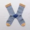 Stripe Cobalt RY1-24 בון מייסון