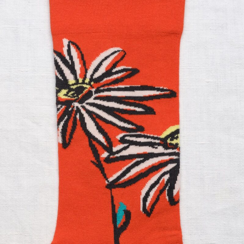 FC3-01_B Sock Flower Vermilion