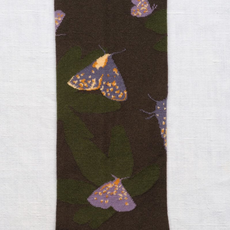 Umber Butterfly HB9-03