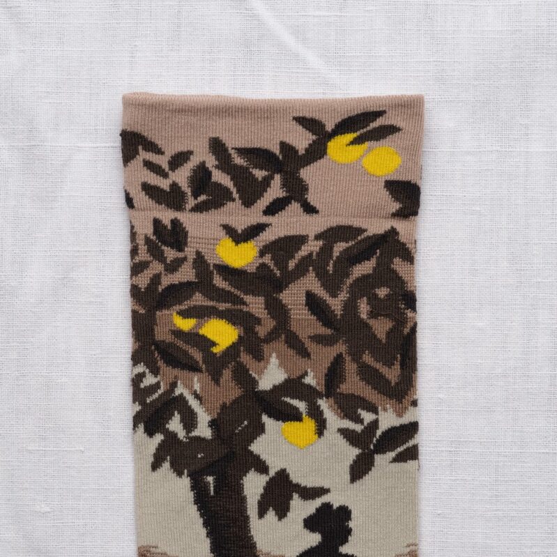 גרבי בון מייסון דגם  Lemons and Swans