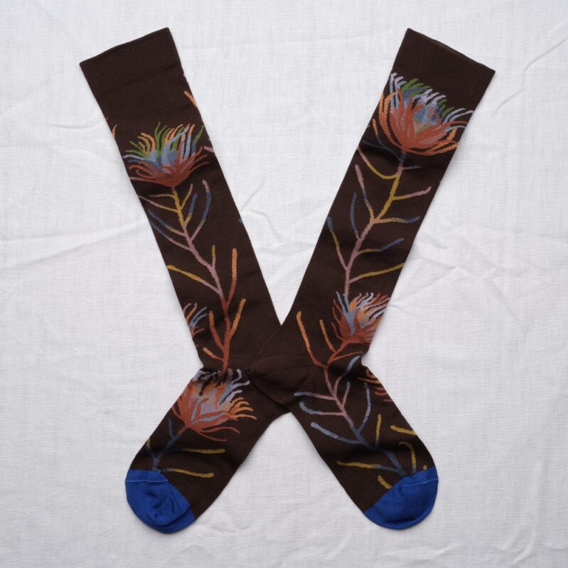 BO901 | גרבי בון מייסון עד הברך דגם  Dark Brown Floral